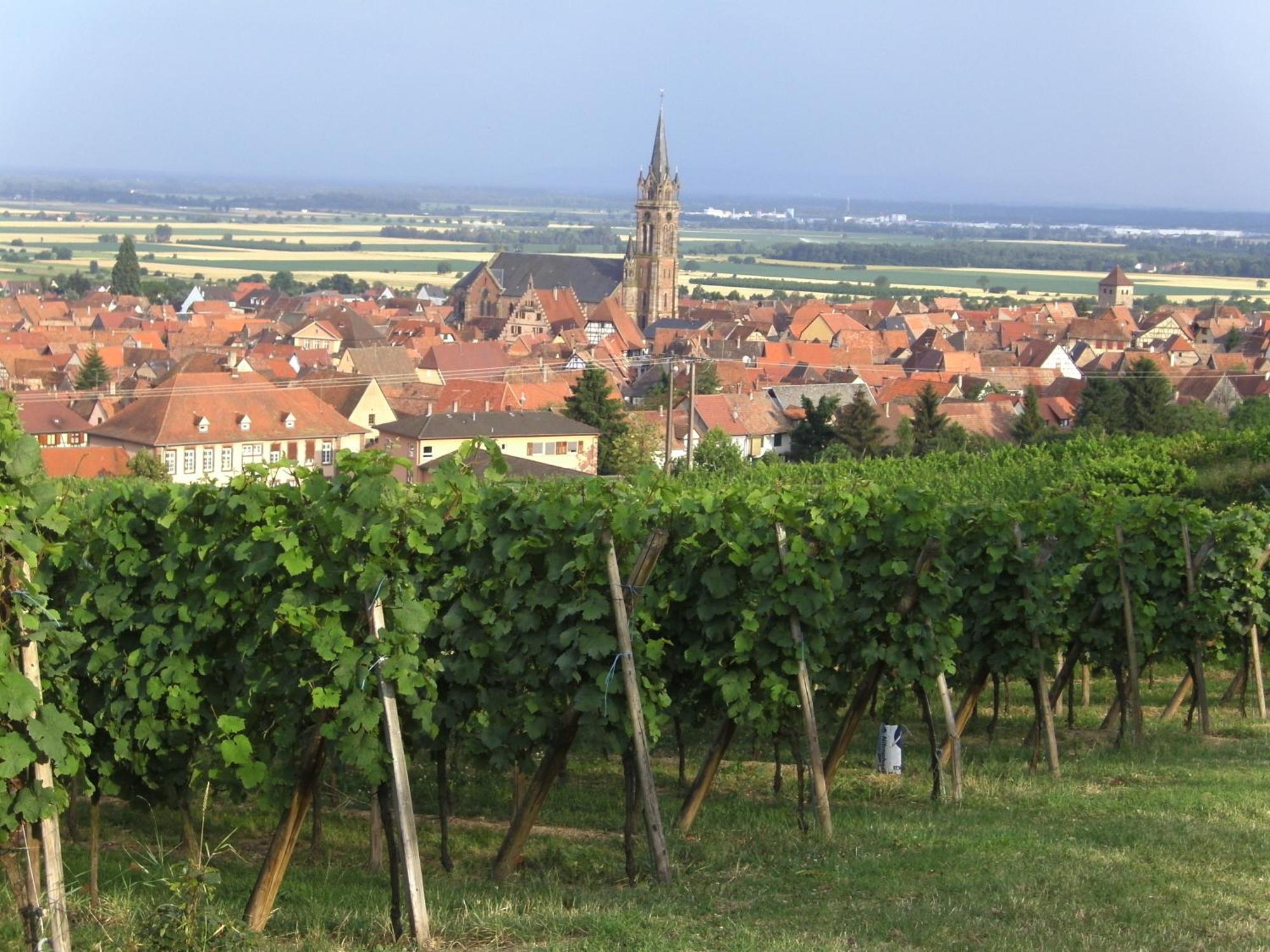 Chambres D'Hotes Arnold Dambach Eksteriør bilde